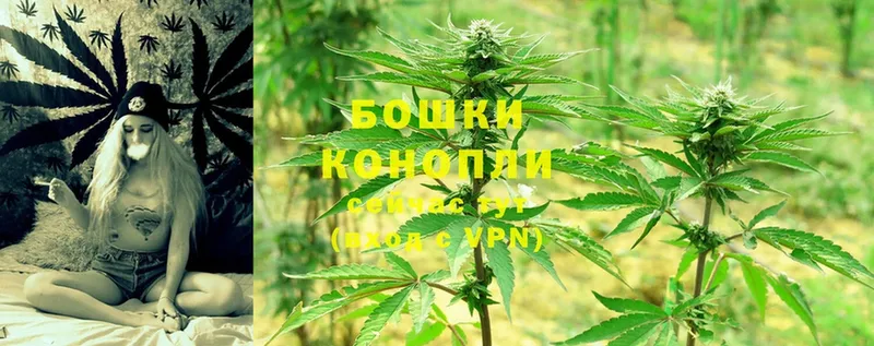 OMG tor  Белая Холуница  мориарти клад  МАРИХУАНА THC 21% 